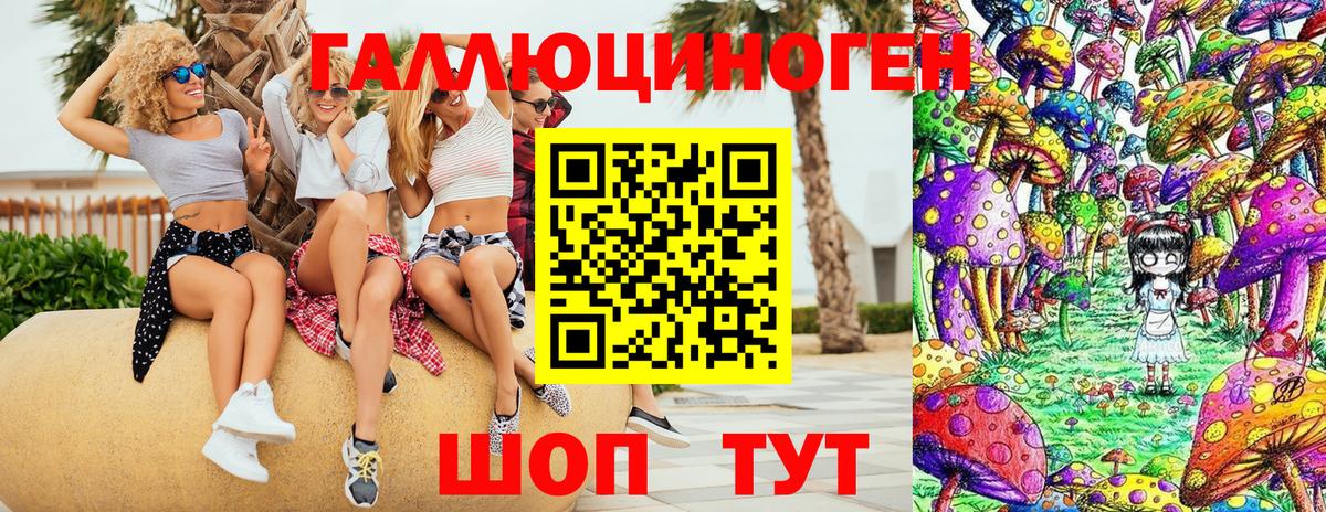Элиста  Галлюциногенные грибы Magic Shrooms  Псилоцибиновые грибы прущие грибы  Вход с VPN 